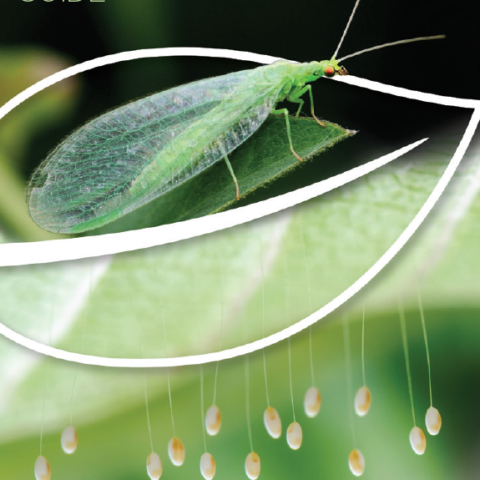 Beneficial insects and mites guide